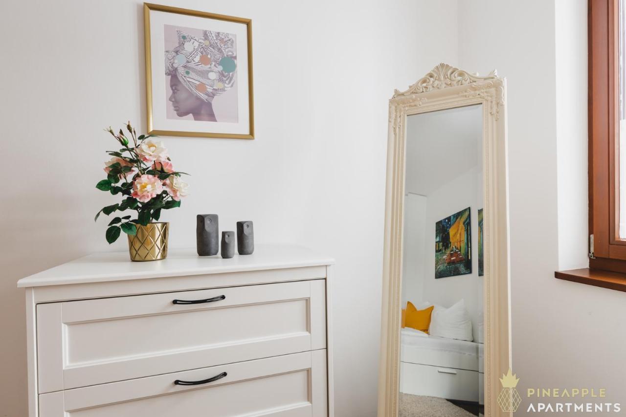 Pineapple Apartments Palais Am Neumarkt - 90 Qm - 1X Free Parking Δρέσδη Εξωτερικό φωτογραφία